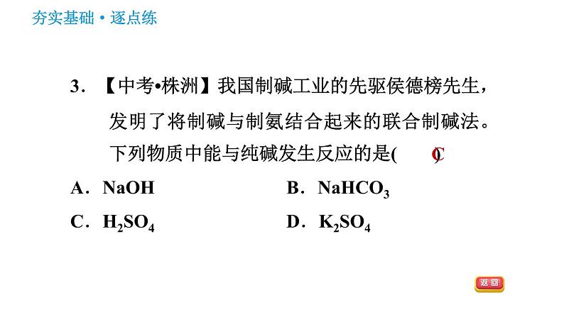 鲁教版九年级下册化学课件 第8单元 8.3.2 盐的化学性质及复分解反应的实质0第6页