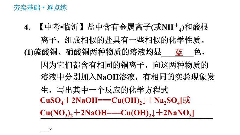 鲁教版九年级下册化学课件 第8单元 8.3.2 盐的化学性质及复分解反应的实质0第7页