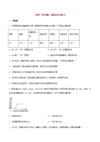 2020-2021学年专题七 初识酸、碱和盐综合与测试巩固练习