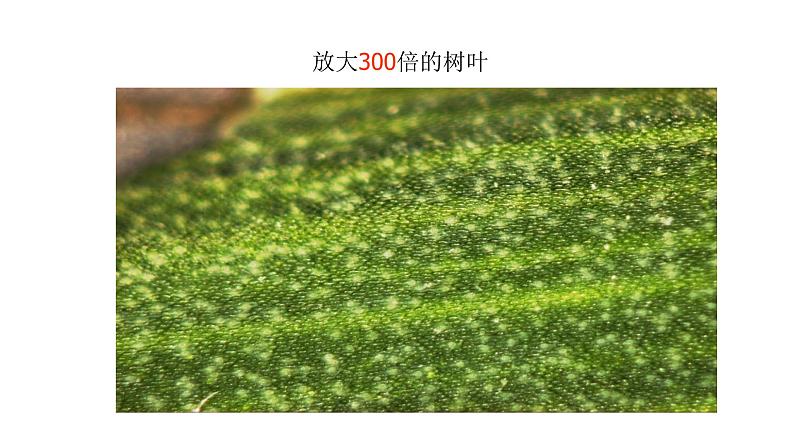 2021-2022学年人教版化学九年级上册第三单元课题1 分子和原子(课件)第7页