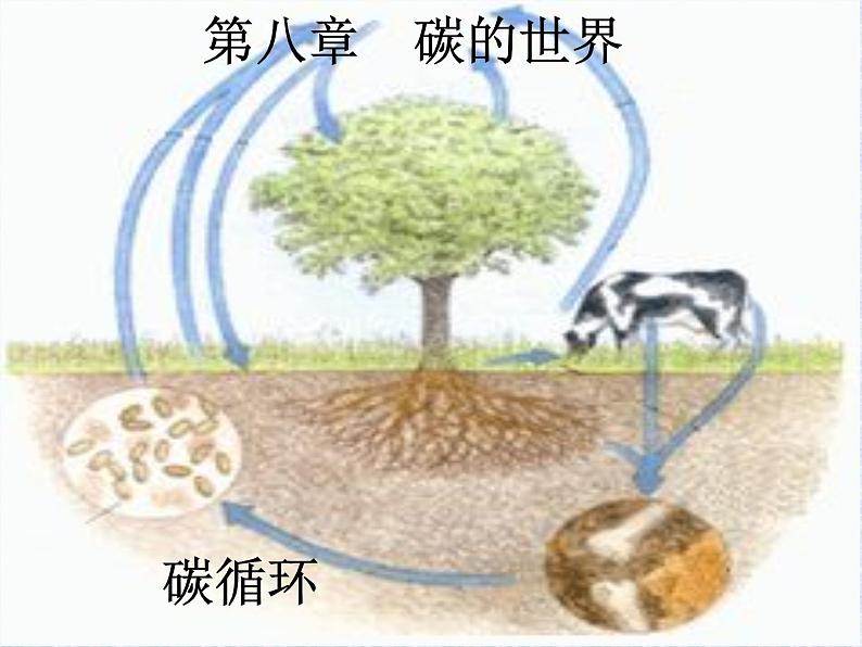 京改版九年级上册化学 8.1 碳的单质 课件(20张PPT)01