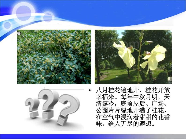 专题3 单元1 构成物质的微粒 课件(共19张PPT)07