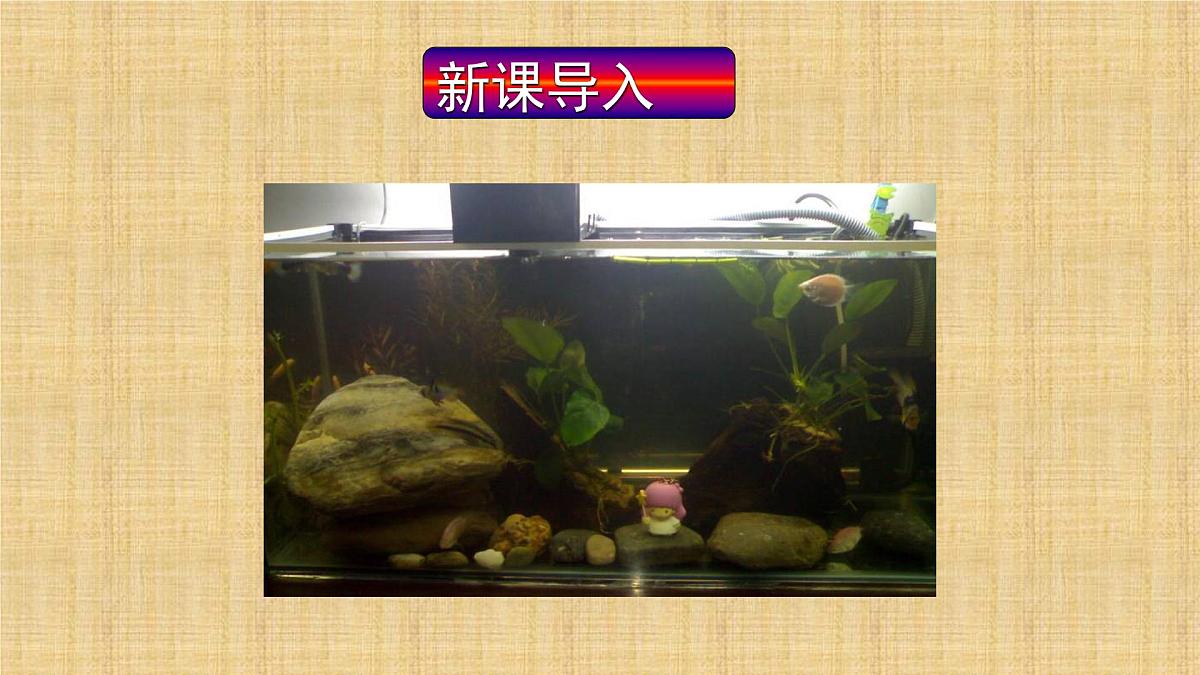人教版九年级化学(上)第二单元《氧气》教学课件第1页