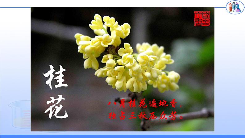 人教版九年级化学(上)第三单元《分子和原子》课件第2页