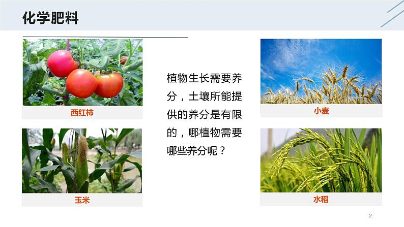 11.2 化学肥料-人教版化学九年级下册同步优质课件(含视频素材)第2页