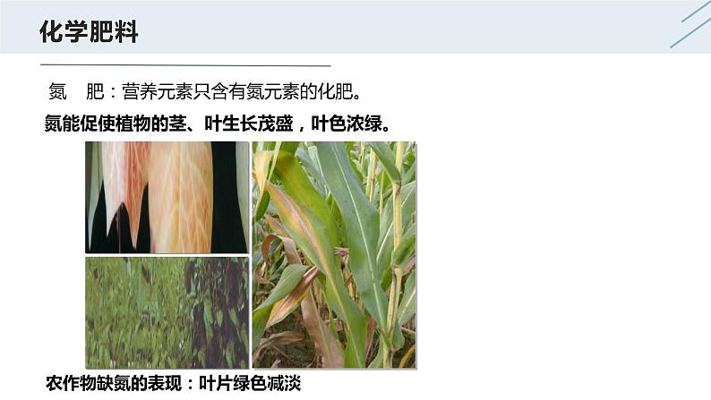 11.2 化学肥料-人教版化学九年级下册同步优质课件(含视频素材)第6页