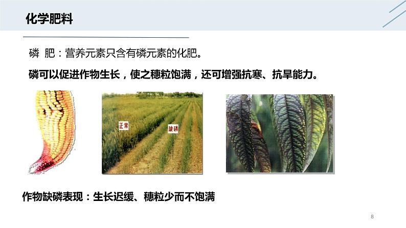 11.2 化学肥料-人教版化学九年级下册同步优质课件(含视频素材)第8页