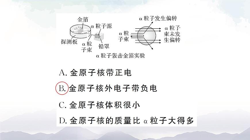 第1課時 原子的結(jié)構(gòu)  作業(yè)課件第8頁