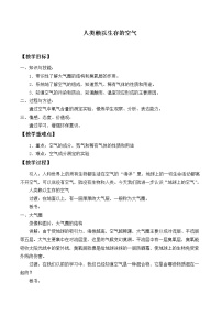 沪教版 (上海)九年级第一学期第二单元 浩瀚的大气2.1 人类赖以生存的空气精品教案