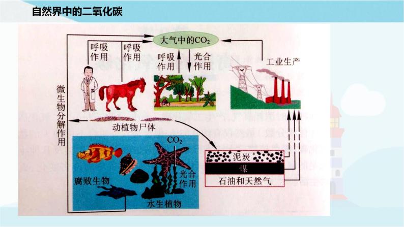 沪教版化学九上2.2《奇妙的二氧化碳》课件+同步练习(含解析版）+素材03