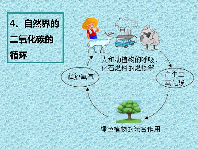 6.3.2 二氧化碳的性质 课件-人教版九年级上册化学 (共16张PPT)07