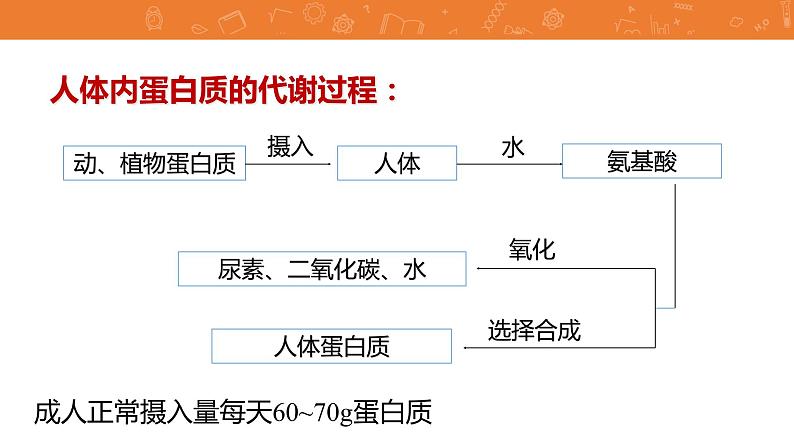 九年级化学下册第12单元 课题1《人类重要的营养物质》发现式课件 人教版06