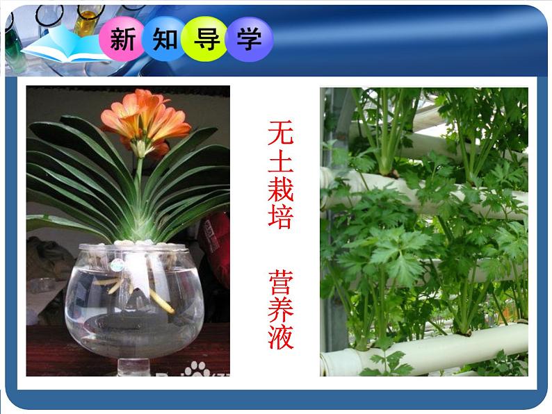 鲁教版九年级化学上册 3.2 溶液组成的定量表示课件PPT03