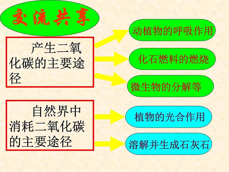 鲁教版九年级化学上册 6.3 大自然中的二氧化碳课件PPT第3页
