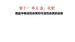 人教版九年级化学下册：第十一单元 实验8 粗盐中难溶性杂质的去除-课件