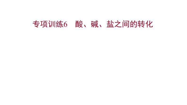 专项训练6 酸、碱、盐之间的转化 习题课件 2021-2022学年科粤版化学九年级01