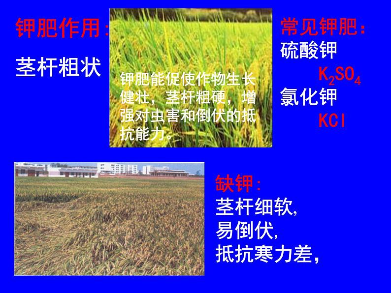 粤教初中化学九下《8.5 化学肥料》PPT课件 (5)第6页