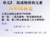 湘教初中化学九上《专题三 物质的构成  单元2 组成物质的元素》课件PPT