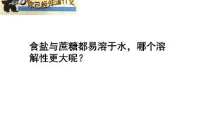 初中仁爱湘教版专题六 物质的溶解单元2 物质的溶解性图文课件ppt