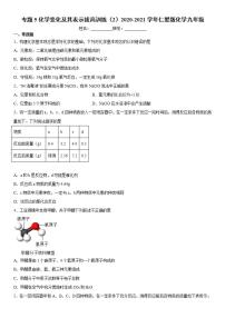 仁爱湘教版九年级上册专题五 化学变化及其表示综合与测试课时作业