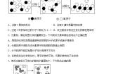 仁爱湘教版九年级上册专题五 化学变化及其表示综合与测试习题
