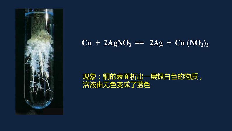 初中化学(人教版)九下 第十一单元 盐 化肥 课题1 生活中常见的盐课件PPT第4页