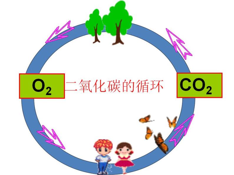 鲁教初中化学九上《第六单元  第3节 大自然中的二氧化碳》课件PPT03