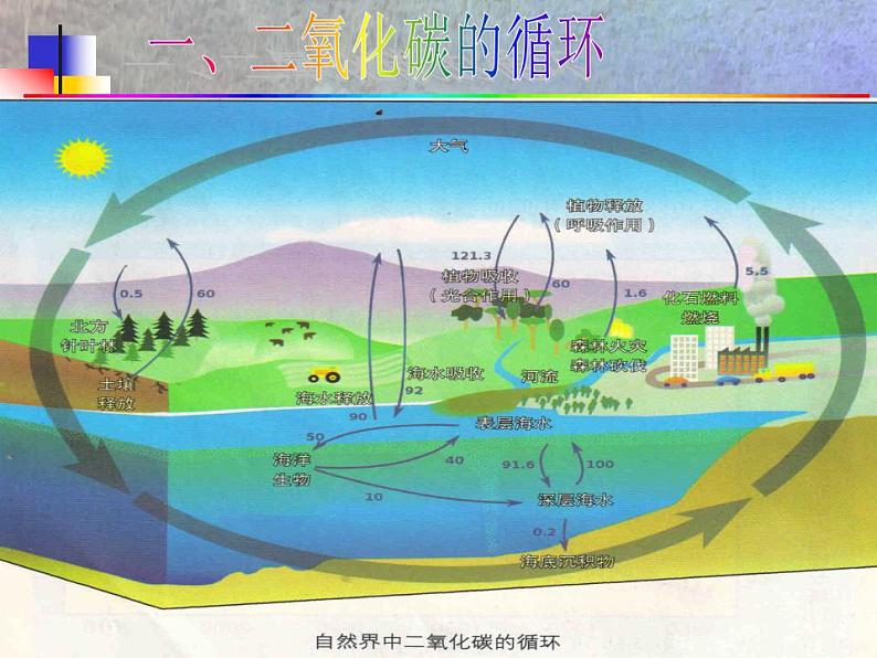 鲁教版九年级化学上册 6.3 大自然中的二氧化碳课件PPT第6页