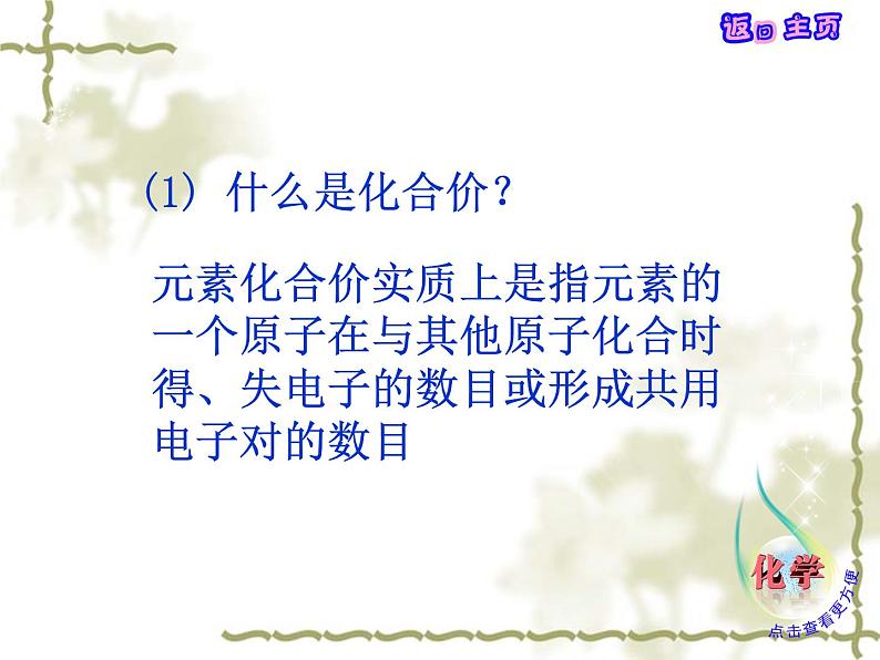 4.2 物质组成的表示(12)(课件)化学九年级上册-鲁教版第5页