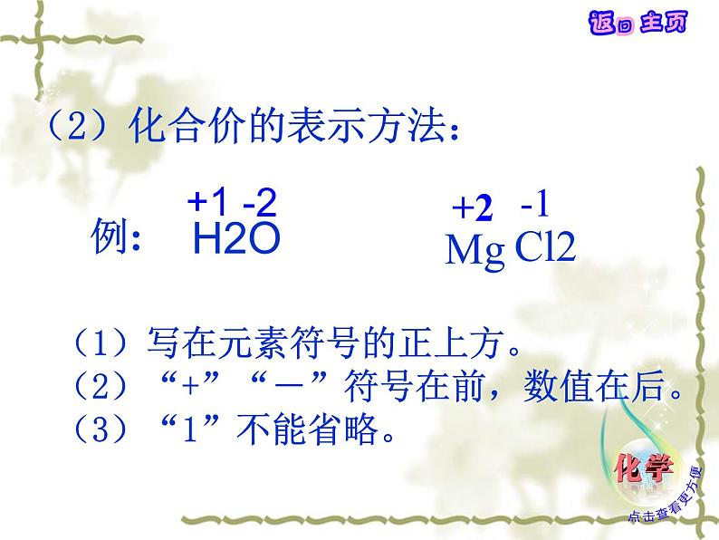 4.2 物质组成的表示(12)(课件)化学九年级上册-鲁教版第8页