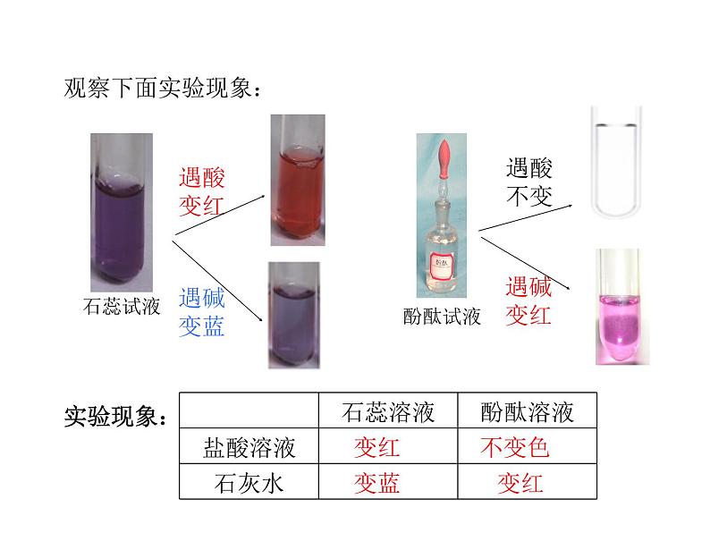 2021-2022学年度科粤版九年级化学下册课件 8.1 溶液的酸碱性07
