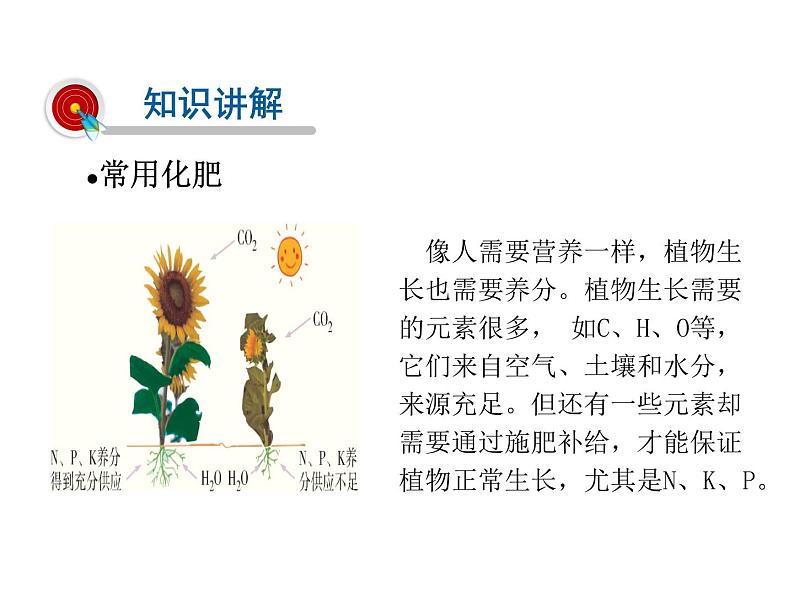 2021-2022学年度科粤版九年级化学下册课件 8.5 化学肥料第3页
