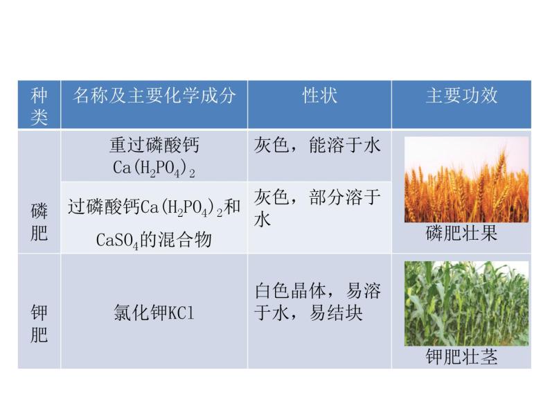 2021-2022学年度科粤版九年级化学下册课件  8.5  化学肥料05