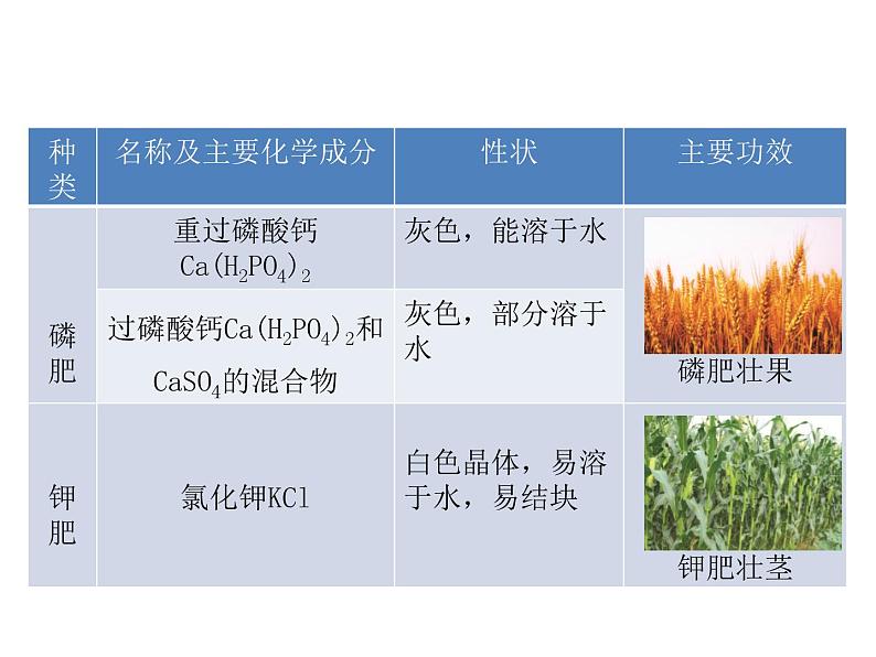 2021-2022学年度科粤版九年级化学下册课件 8.5 化学肥料第5页