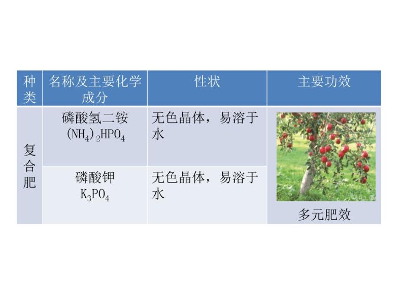 2021-2022学年度科粤版九年级化学下册课件  8.5  化学肥料06