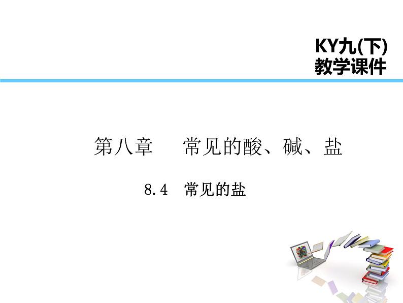 2021-2022学年度科粤版九年级化学下册课件 8.4 常见的盐第1页