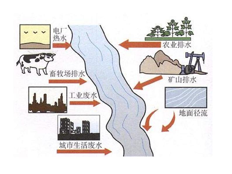 人教五四制初中化学八年级全册《第四单元 课题1 爱护水资源》课件PPT第7页
