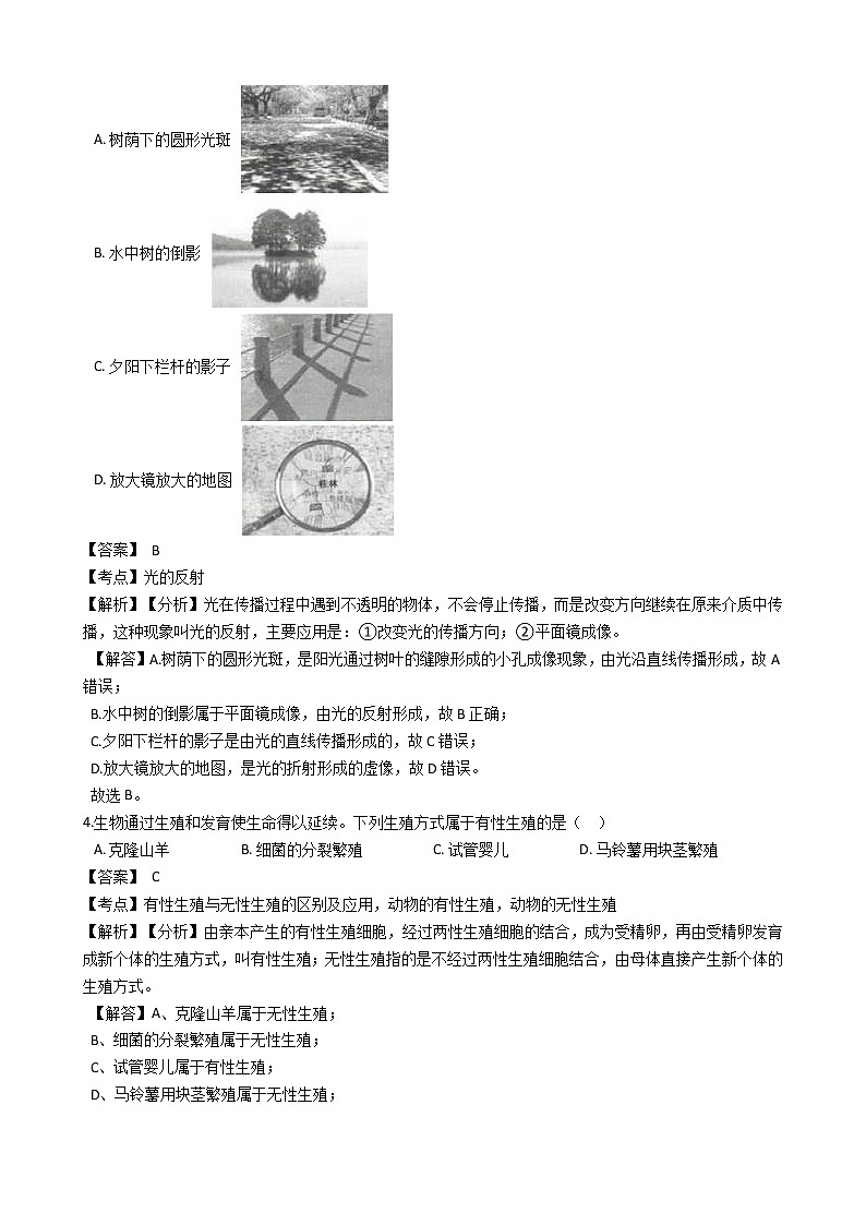 2019年浙江省湖州市中考科学试题(解析版)02
