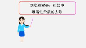 初中化学鲁教版九年级下册到实验室去：粗盐中难溶性杂质的去除教学演示课件ppt