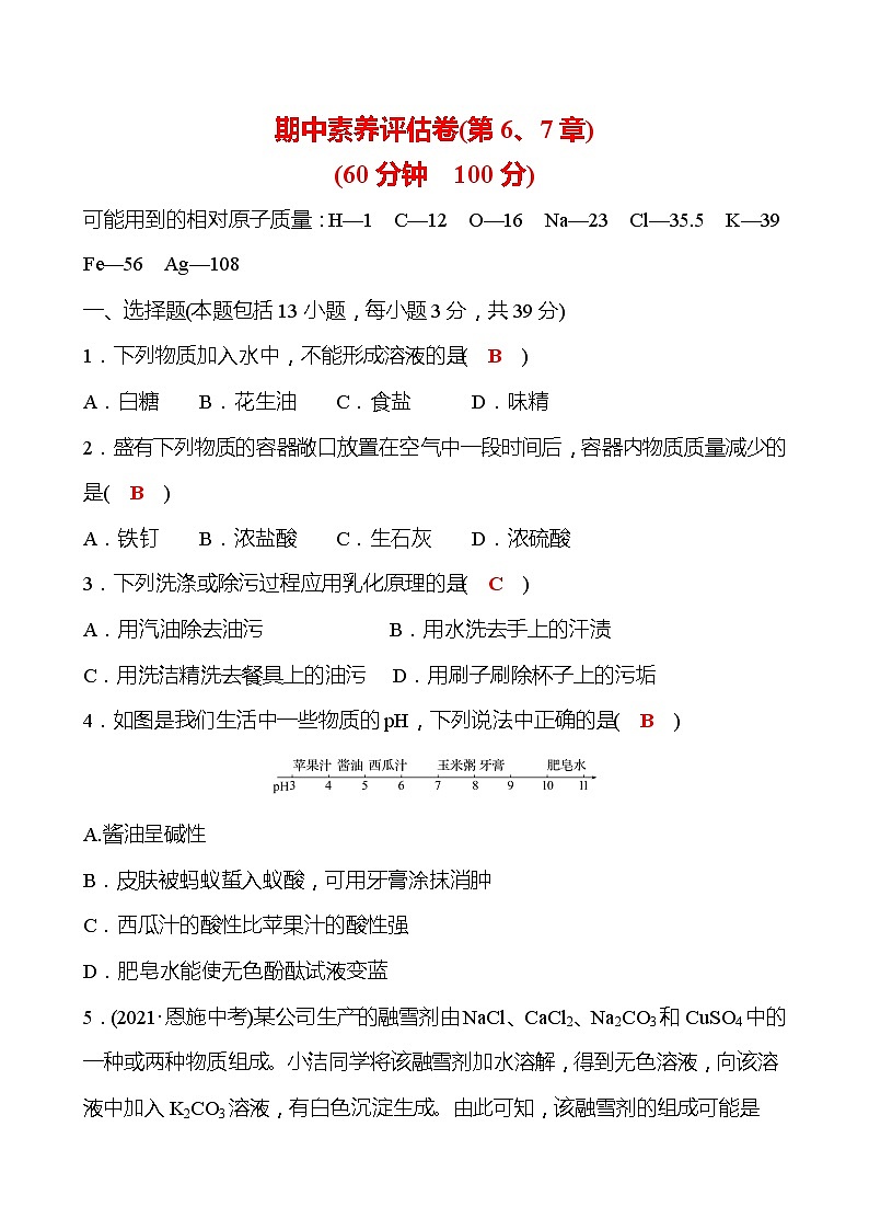 期中素养评估卷 试卷(教师版)—2020-2021学年九年级化学沪教版下册第1页