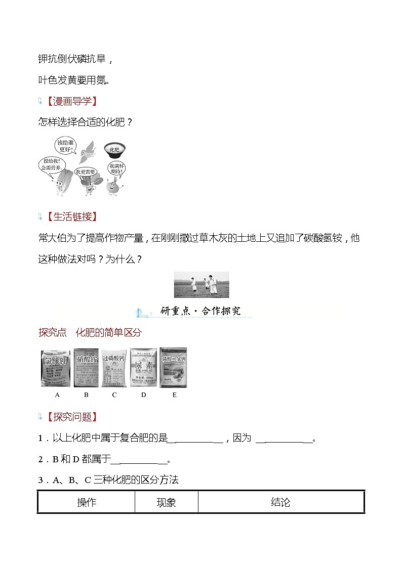 第7章 第3节 第2课时 化 学 肥 料 学案(学生版)—2020-2021学年九年级化学沪教版下册第3页