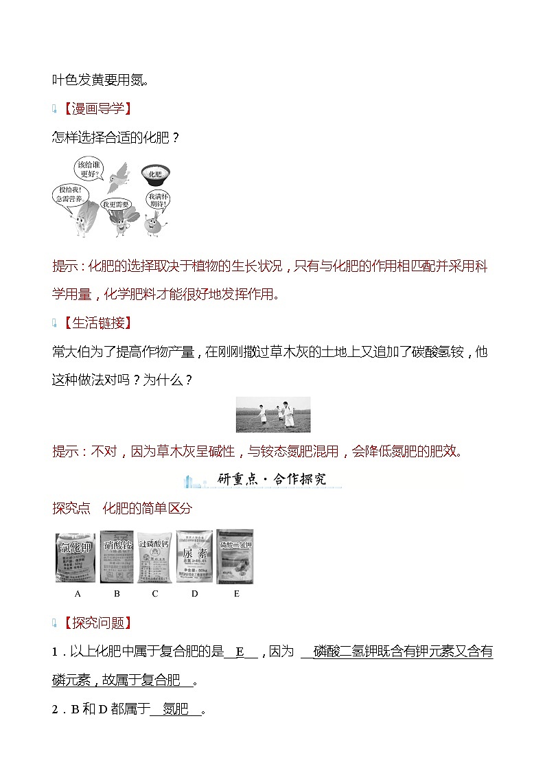 第7章 第3节 第2课时 化 学 肥 料 学案(教师版)—2020-2021学年九年级化学沪教版下册第3页