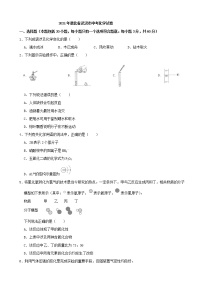 2021年湖北省武汉市中考化学真题（解析版）