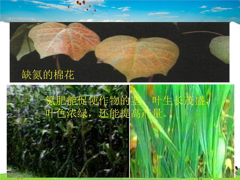 鲁教版化学九年级下册 11.3 化学与农业生产【课件】第5页