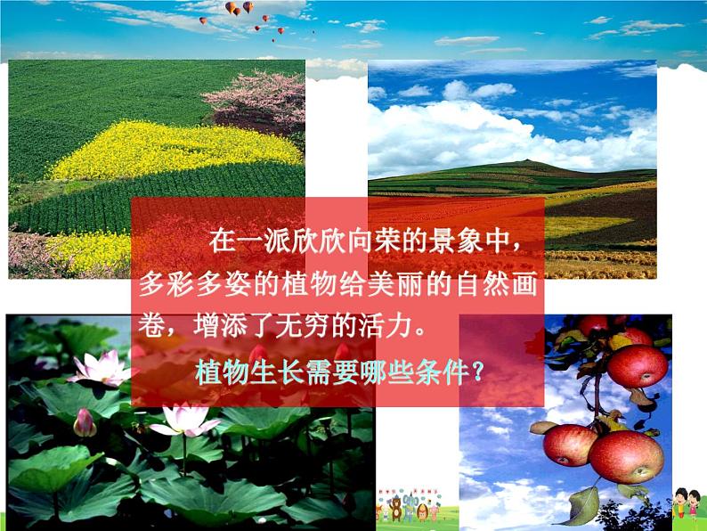 化学肥料PPT课件免费下载02