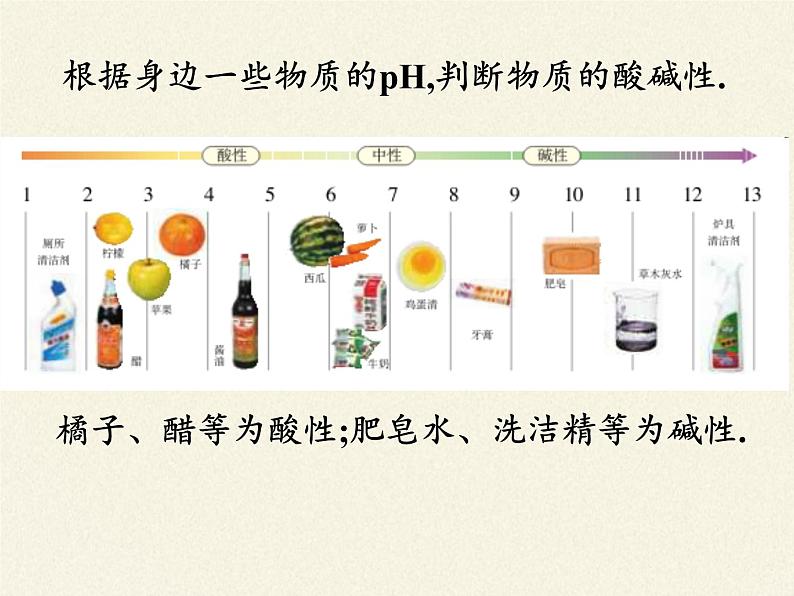 鲁教版(五四制)化学九年级全一册 2.3  溶液的酸碱性(课件)第5页