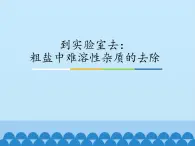 鲁教版（五四制）化学九年级全一册 第三单元 到实验室去：粗盐中难溶性杂质的去除_1（课件）