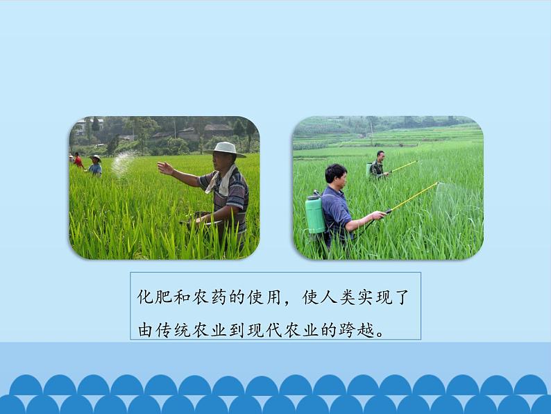 鲁教版(五四制)化学九年级全一册 6.3 化学与农业生产_1(课件)第4页