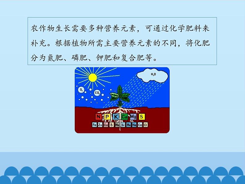 鲁教版(五四制)化学九年级全一册 6.3 化学与农业生产_1(课件)第7页
