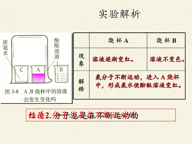 人教版(五四制)八年级全一册化学 第三单元 课题1 分子和原子 (2)(课件)第8页